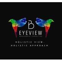 BEyeView Management Consulting logo - Similar company to Enterprise Room