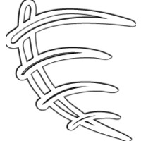 Finanservis Advisors logo - Similar company to Flipsimply