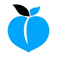 PeachWiz logo - Similar company to Distilix, Inc.