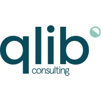 Qlib Consulting logo - Similar company to Simitai