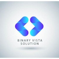 Binary Vista Solution logo - Similar company to Qlogic Entertainment