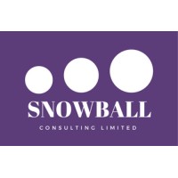 Snowball Consulting Limited logo - Similar company to Rvk Holdings Limited