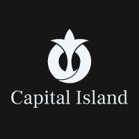 Capital Island logo - Similar company to Calltime