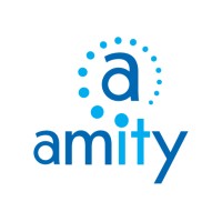 Amity IT logo - Similar company to Trainstein Chess College