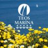 Teos Marina logo - Similar company to D-Marin | The Selection Of Premium Marinas