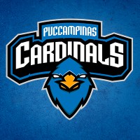 PUC Campinas Cardinals e-Sports logo - Similar company to Gpc Puc-Campinas
