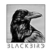 BlackBird logo - Similar company to Lyra Arte