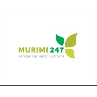Murimi247 logo - Similar company to Fanset International