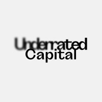 Underrated Capital logo - Similar company to Khronos Holdings Ltd