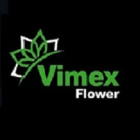 Vimex Flower BV logo - Similar company to Divflo B.V.