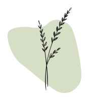 greendawning. Ⓥ 🌱 💚 logo - Similar company to Bamboo Baby