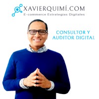 Consultor Y Auditor Digital