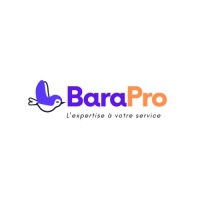 BaraPro logo - Similar company to Vivo Energy
