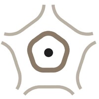 Kane Hall Barry Neurology logo - Similar company to Copractica