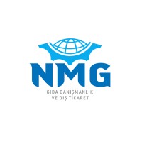 NMG Group logo - Similar company to Roka Bilişim
