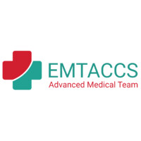 EMTACCS logo - Similar company to Techline Technologies Inc