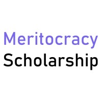 Meritocracy Scholarship logo - Similar company to The Compass School (Tcs)