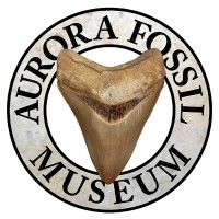 Aurora Fossil Museum logo - Similar company to Cold River Mining