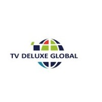 TOLADOL VENTURES DELUXE GLOBAL logo - Similar company to Headstone Security And Consultancy Limited (Hscl)