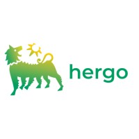 Hergo Renewables S.p.A. logo - Similar company to Risam Srl