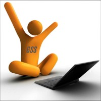 Gemini Soft Services logo - Similar company to Gemini Software Doo