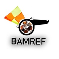 BAMREFOfficial logo - Similar company to Numeritek