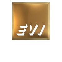 Executive Visions Inc logo - Similar company to Maximo Advisory & Consulting