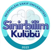 Bezmialem Neuroscience Community logo - Similar company to Scan Lab @ Khas