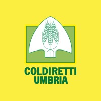 Coldiretti Umbria logo - Similar company to Coldiretti Marche
