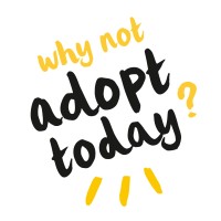 Race (Romanian Animal Care Europe)