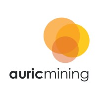 Auric Mining Limited (ASX:AWJ) logo - Similar company to Dreadnought Resources Ltd
