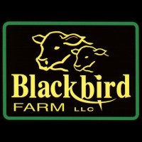 Black Bird Farm