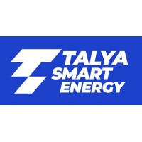 Talya Smart Energy logo - Similar company to Voltinet