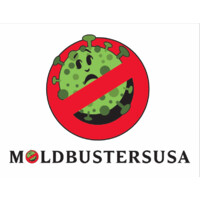 Mold Busters Usa