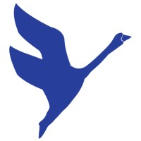 Amswan logo - Similar company to Stron Technology Co., Ltd