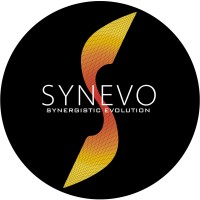 SYNEVO (Pty) Ltd. logo - Similar company to Bse Engineering Group