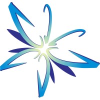 China Exploration logo - Similar company to The China Temper