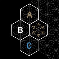 A Blockchain Collective logo - Similar company to Founders Form
