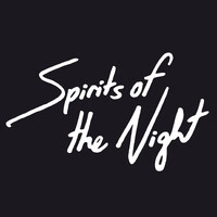 Spirits of the Night logo - Similar company to Night After Night