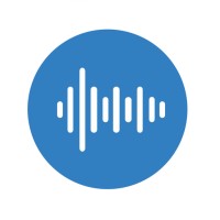 wizzy-sounds logo - Similar company to Future Networks