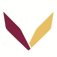 Vivendur logo - Similar company to 1St Medai Summit