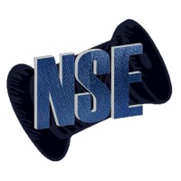 Nisha Silk Exports logo - Similar company to Kaico Ltd.