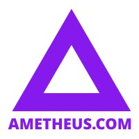 Ametheus Holdings Pvt Ltd logo - Similar company to Coderealm World Services Llp