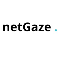 netGaze logo - Similar company to Netgaz