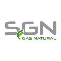 Soluciones en Gas Natural SGN, S.A. logo - Similar company to Enercom Srl