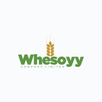 Whesoyy Company limited logo - Similar company to Brainwise Ghana