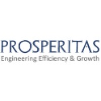 Prosperitas Services LLC logo - Similar company to Ai X Education