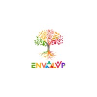 ENVOLVP logo - Similar company to Cookie Analytix