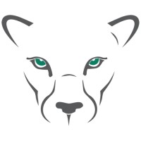 PuMa Soft logo - Similar company to Puma Security