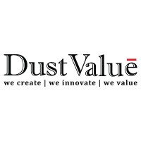 Dust Value logo - Similar company to Owlsurf Digital